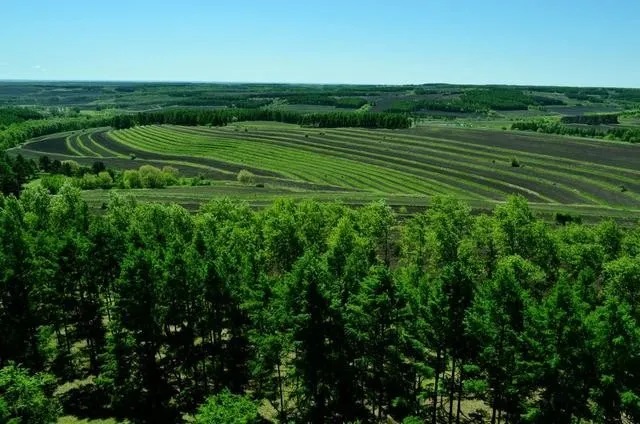 内蒙古自治区今年计划造林种草约2800万亩