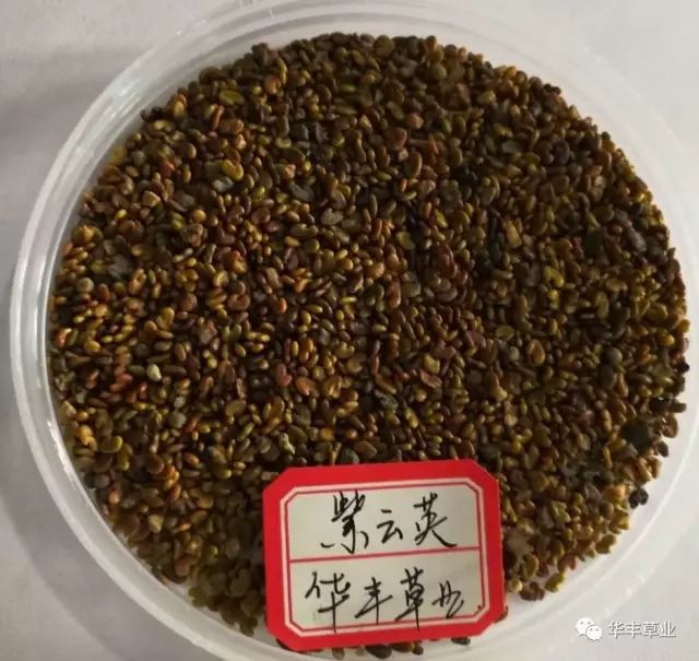 微信图片_20200623112417.jpg 微信图片_20200623112417.jpg