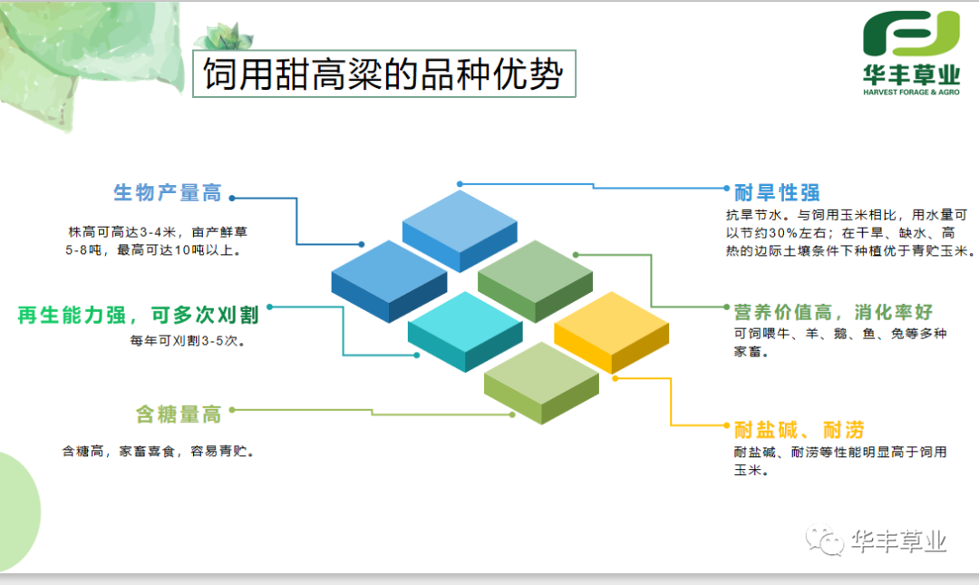微信图片_20201102233750.jpg 微信图片_20201102233750.jpg